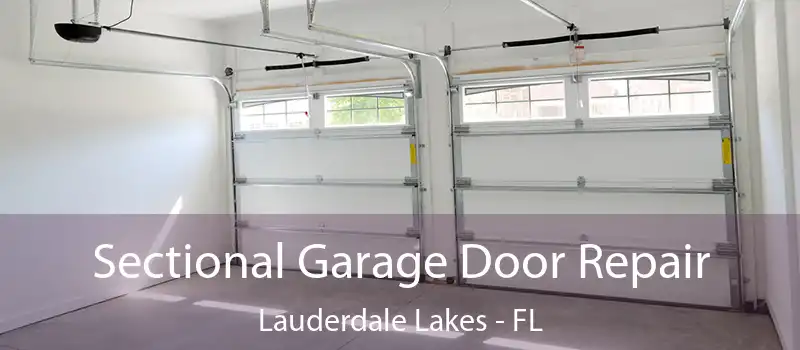 Sectional Garage Door Repair Lauderdale Lakes - FL