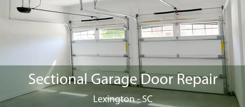  Sectional Garage Door Repair Lexington - SC