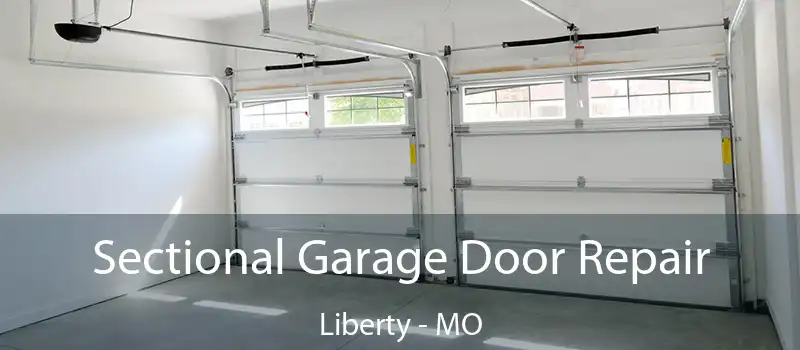  Sectional Garage Door Repair Liberty - MO