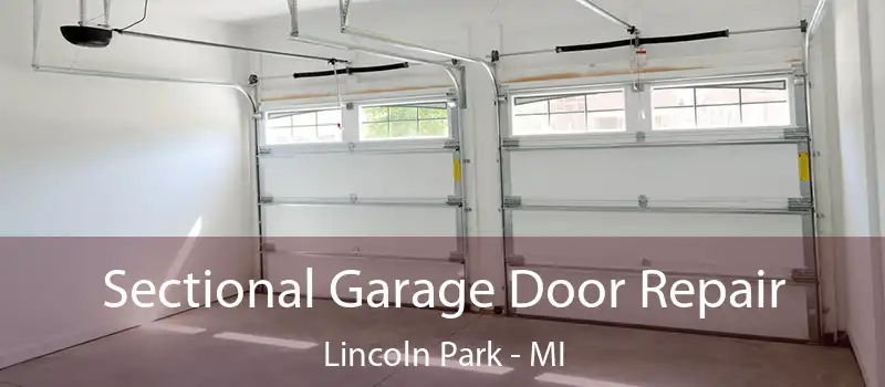  Sectional Garage Door Repair Lincoln Park - MI