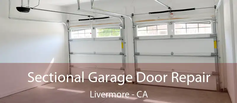  Sectional Garage Door Repair Livermore - CA