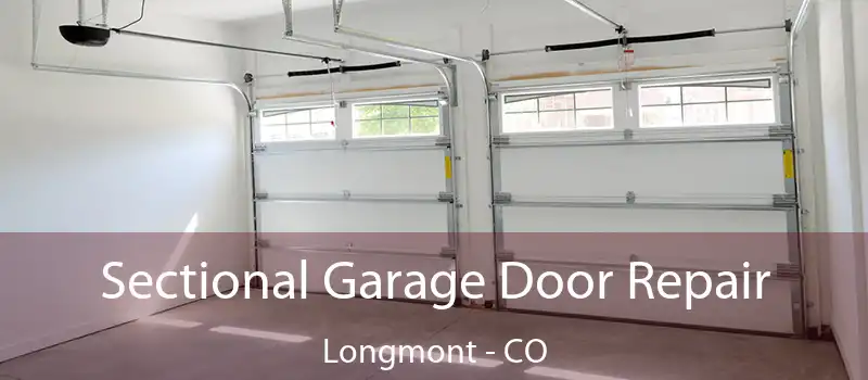  Sectional Garage Door Repair Longmont - CO