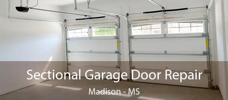  Sectional Garage Door Repair Madison - MS