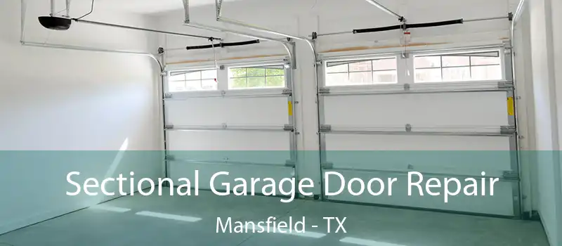 Sectional Garage Door Repair Mansfield - TX