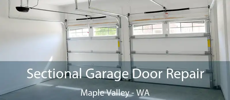 Sectional Garage Door Repair Maple Valley - WA