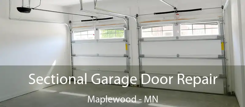  Sectional Garage Door Repair Maplewood - MN