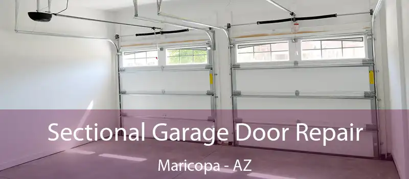  Sectional Garage Door Repair Maricopa - AZ