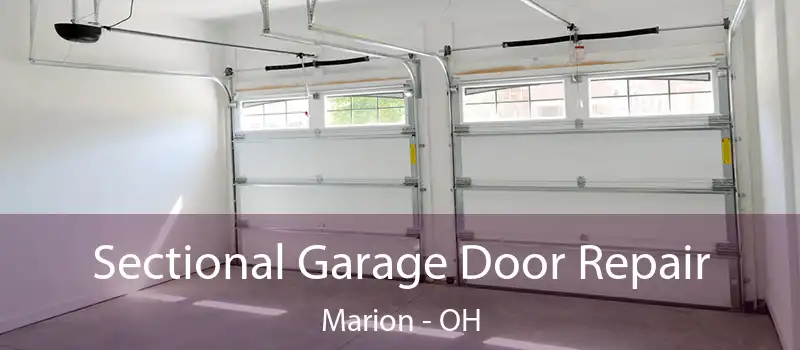  Sectional Garage Door Repair Marion - OH