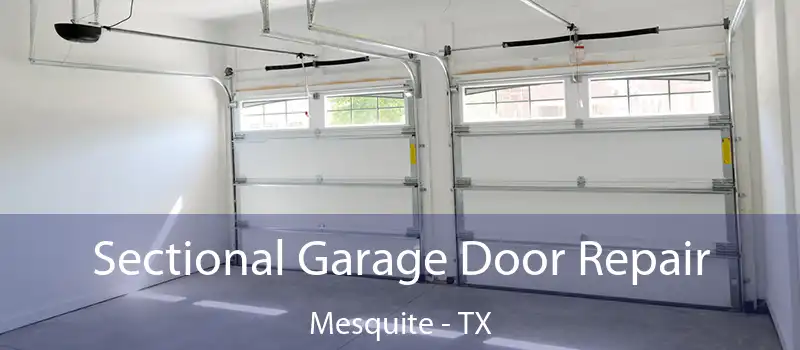  Sectional Garage Door Repair Mesquite - TX
