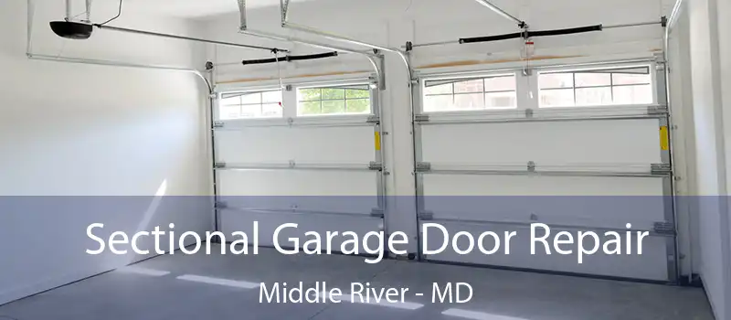  Sectional Garage Door Repair Middle River - MD