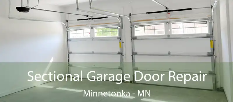  Sectional Garage Door Repair Minnetonka - MN