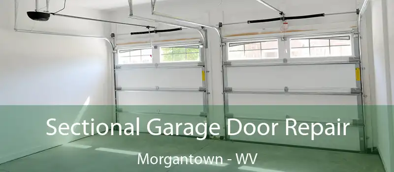  Sectional Garage Door Repair Morgantown - WV