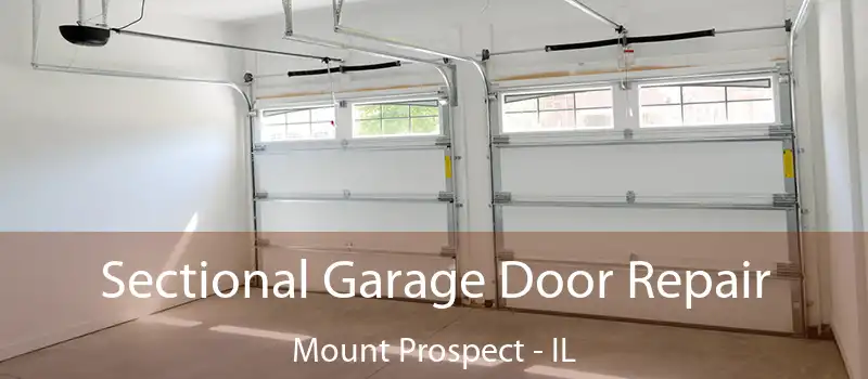Sectional Garage Door Repair Mount Prospect - IL