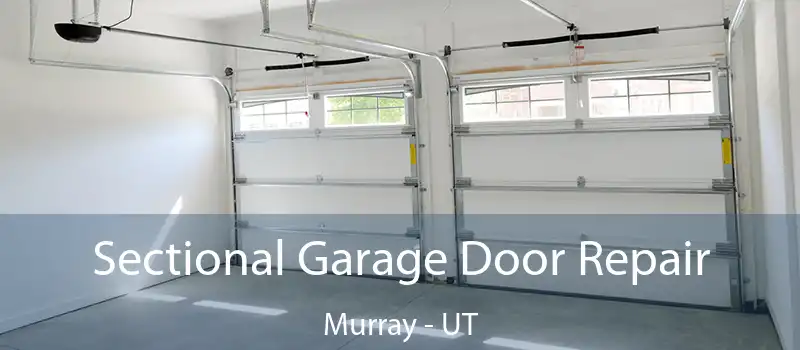  Sectional Garage Door Repair Murray - UT
