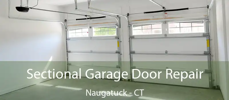  Sectional Garage Door Repair Naugatuck - CT