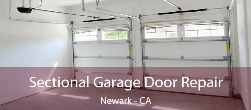  Sectional Garage Door Repair Newark - CA