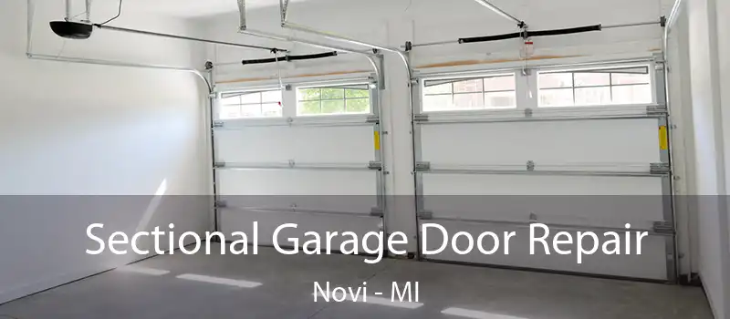  Sectional Garage Door Repair Novi - MI