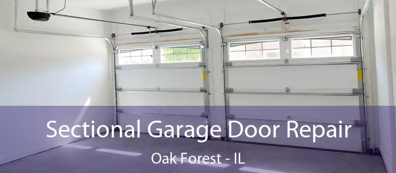 Sectional Garage Door Repair Oak Forest - IL