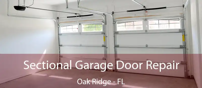Sectional Garage Door Repair Oak Ridge - FL