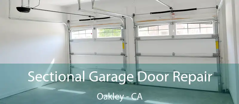  Sectional Garage Door Repair Oakley - CA