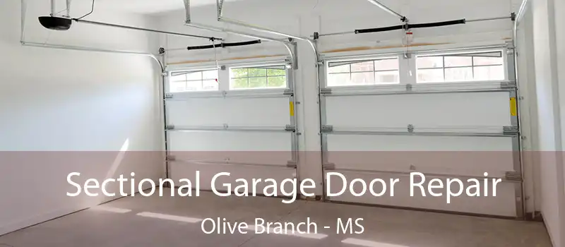  Sectional Garage Door Repair Olive Branch - MS