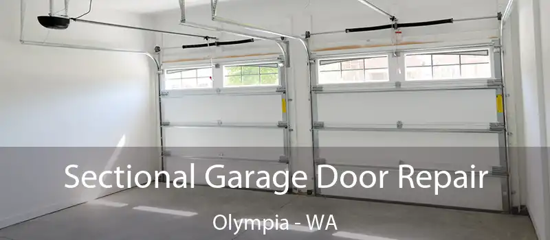 Sectional Garage Door Repair Olympia - WA