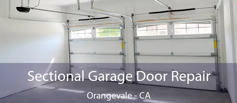  Sectional Garage Door Repair Orangevale - CA