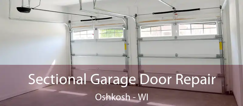  Sectional Garage Door Repair Oshkosh - WI