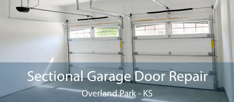  Sectional Garage Door Repair Overland Park - KS