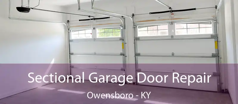 Sectional Garage Door Repair Owensboro - KY