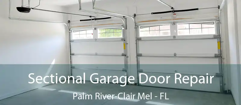 Sectional Garage Door Repair Palm River-Clair Mel - FL