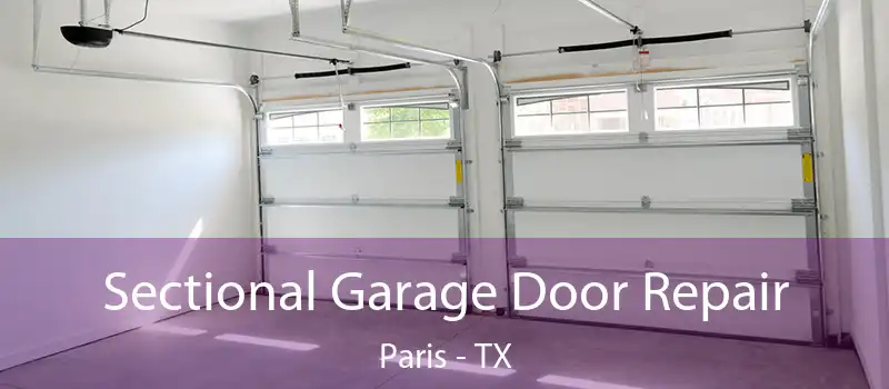 Sectional Garage Door Repair Paris - TX
