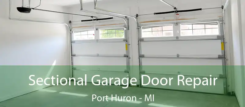  Sectional Garage Door Repair Port Huron - MI