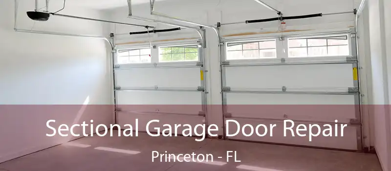 Sectional Garage Door Repair Princeton - FL