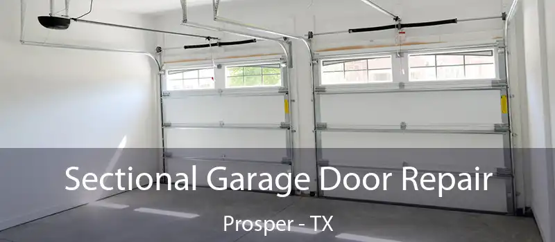 Sectional Garage Door Repair Prosper - TX
