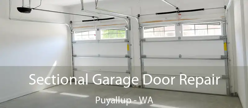 Sectional Garage Door Repair Puyallup - WA