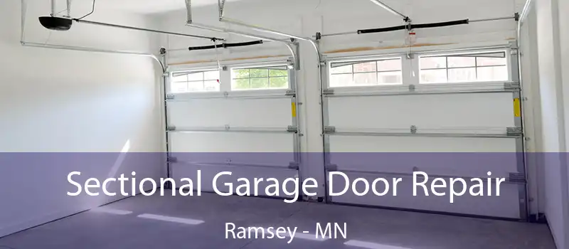 Sectional Garage Door Repair Ramsey - MN
