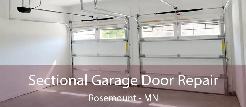  Sectional Garage Door Repair Rosemount - MN
