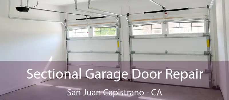  Sectional Garage Door Repair San Juan Capistrano - CA