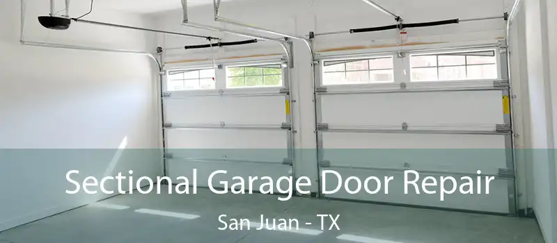 Sectional Garage Door Repair San Juan - TX
