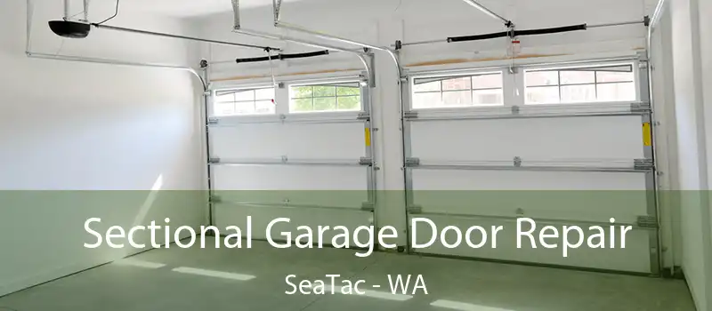 Sectional Garage Door Repair SeaTac - WA