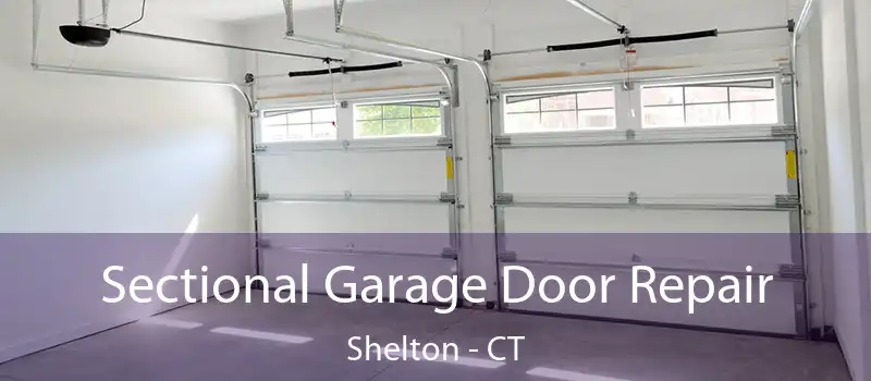 Sectional Garage Door Repair Shelton - CT