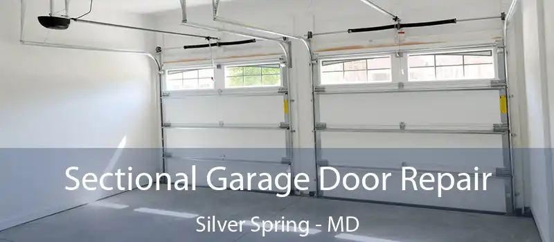  Sectional Garage Door Repair Silver Spring - MD