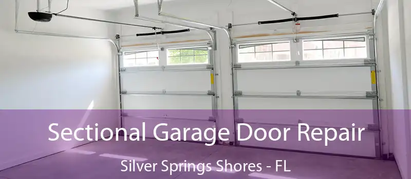 Sectional Garage Door Repair Silver Springs Shores - FL