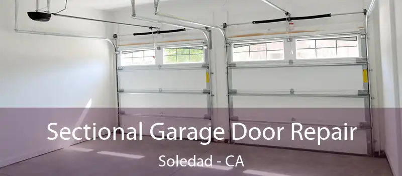  Sectional Garage Door Repair Soledad - CA
