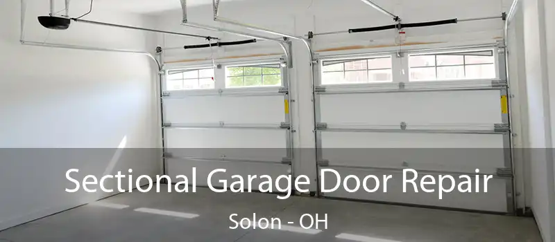  Sectional Garage Door Repair Solon - OH
