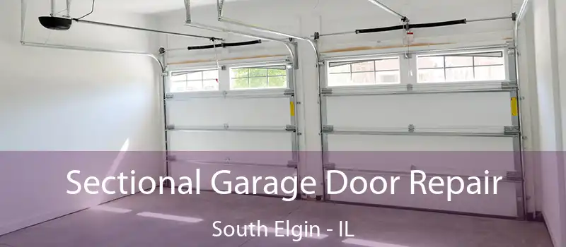Sectional Garage Door Repair South Elgin - IL
