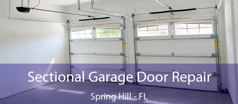 Sectional Garage Door Repair Spring Hill - FL