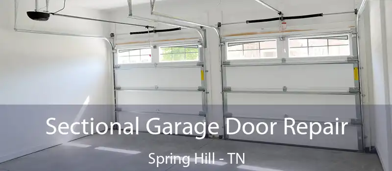  Sectional Garage Door Repair Spring Hill - TN
