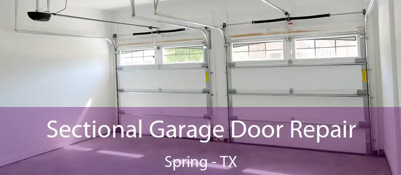 Sectional Garage Door Repair Spring - TX